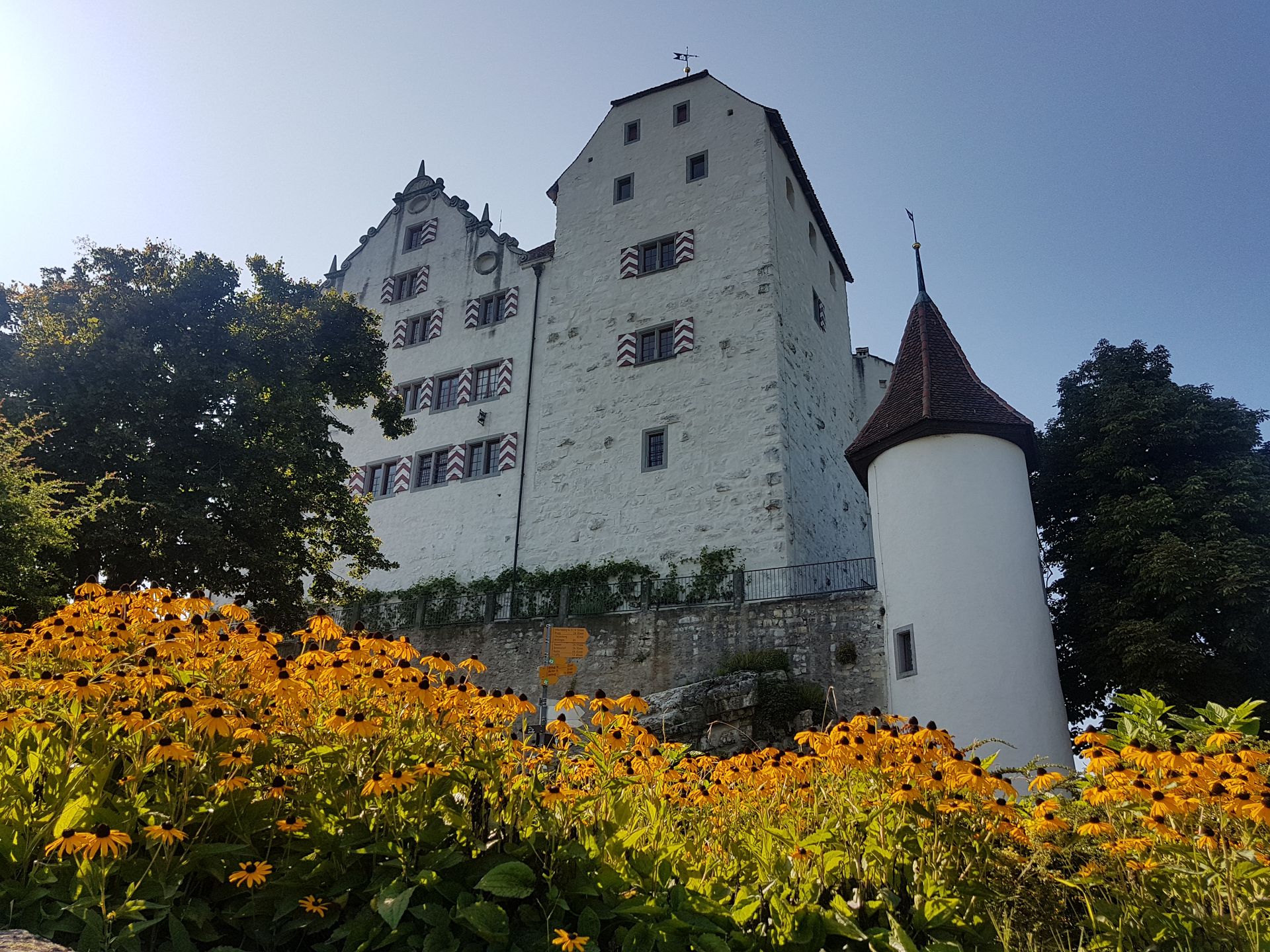 Schloss Wildegg